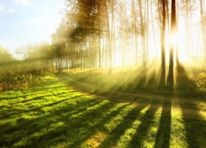 Beautiful-Nature-360x260